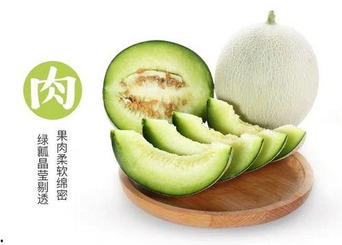 网纹瓜开吃,尽享夏日清新滋味