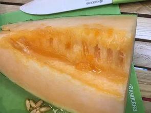 广西柳州吃瓜群